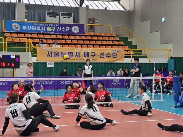 경기도, 사이클·승마 등 금빛 질주…장애인체전 3일째 선두 독주